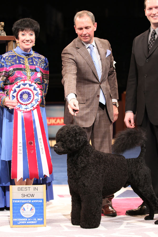 Here's Who Won the AKC/Eukanuba National Championship Dog Show