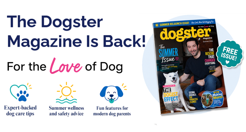 The Dogster Magazine Is Back! For the Love of Dog