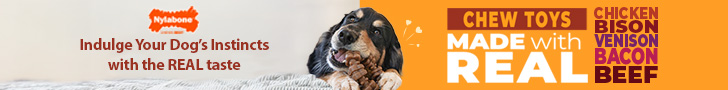 Nylabone chew toys made with real chicken, bison, venison, bacon and beef