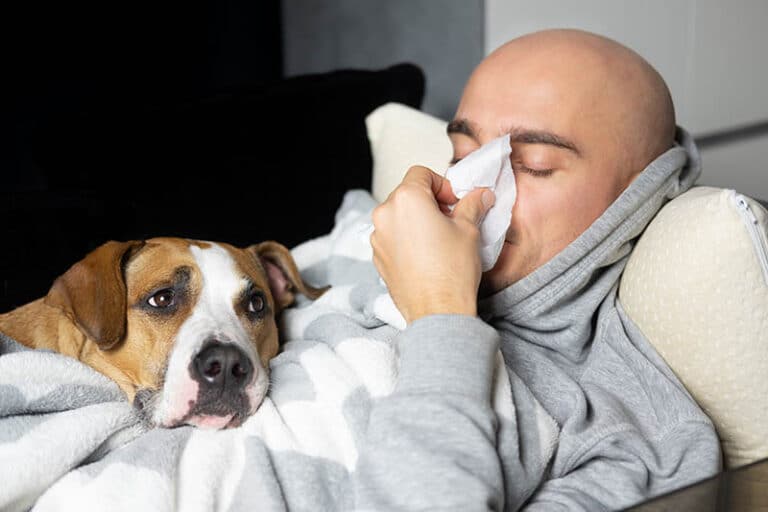 Sick Day? Here Are 5 Ways to Keep Your Dogs Occupied – Dogster