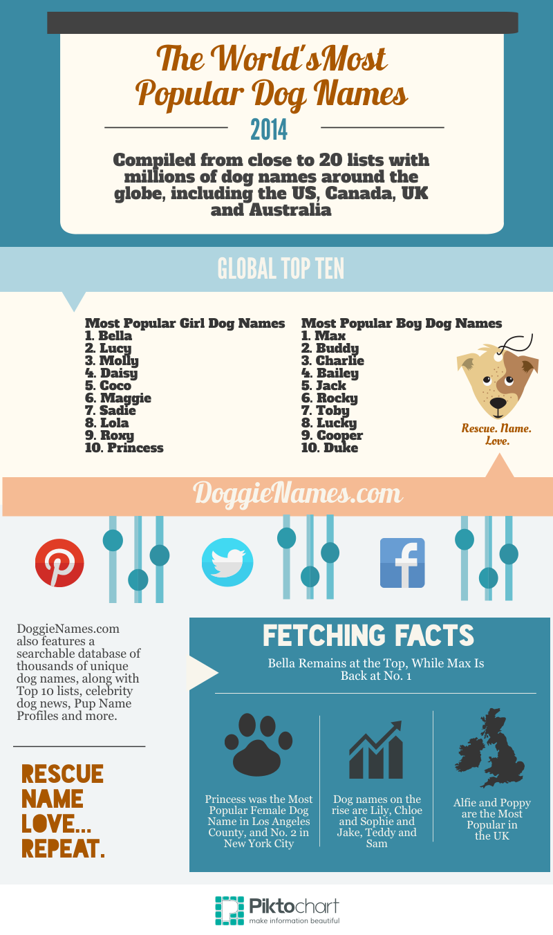 most popular male dog names
