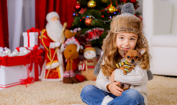 5 Tips to Keep the Peace Between Holiday Guests and Your Dogs