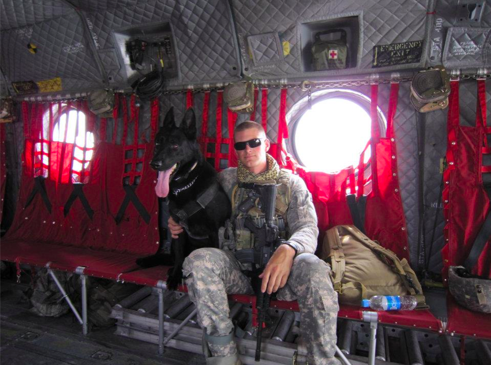 what do military dogs do