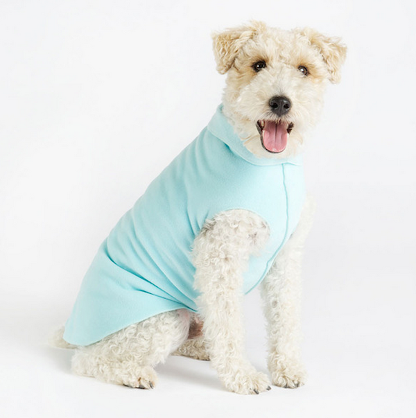 Friday Freebie: We're Giving Away a Fleece Pullover for Your Pup – Dogster