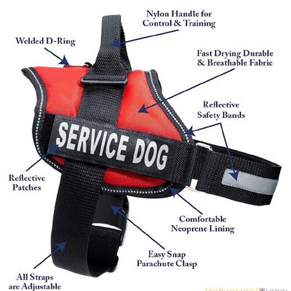 certified service dog vest