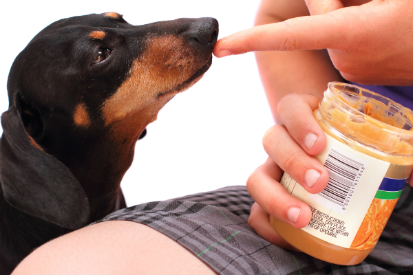 what peanut butter can dogs eat