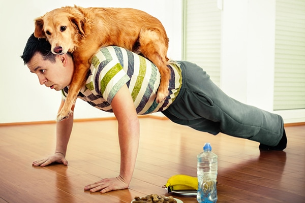 Pet Exercise