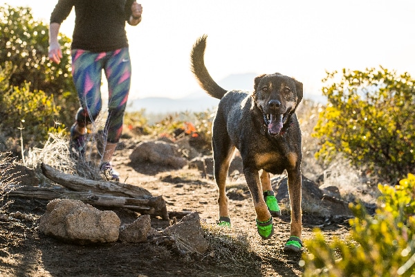 best dog booties for hiking