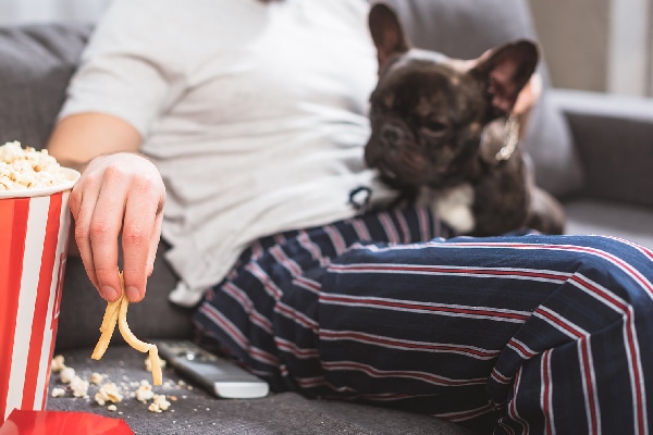 Feeding Your Dog: Answers to Common Questions