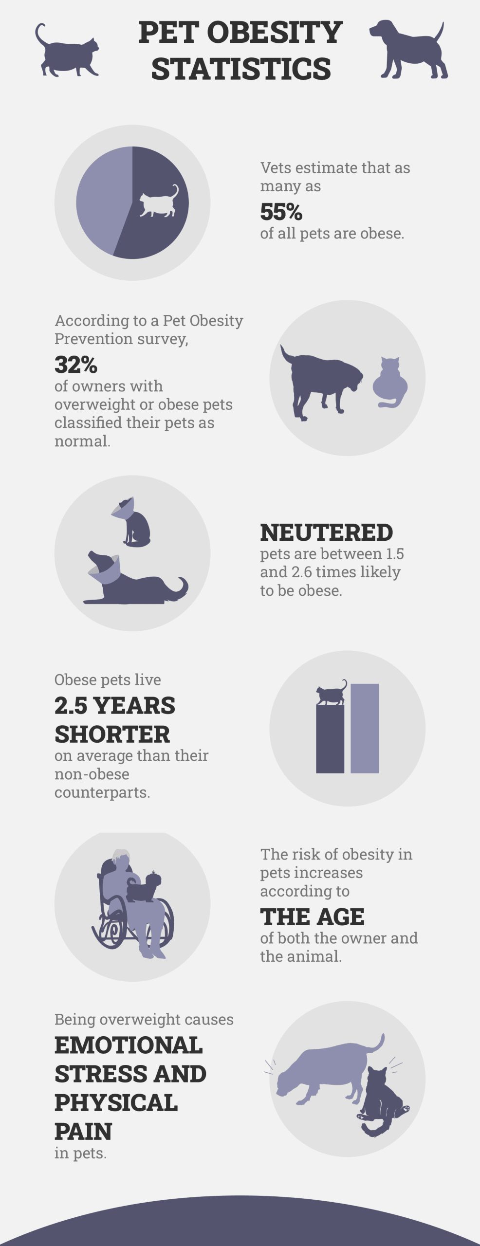Pet Obesity Statistics