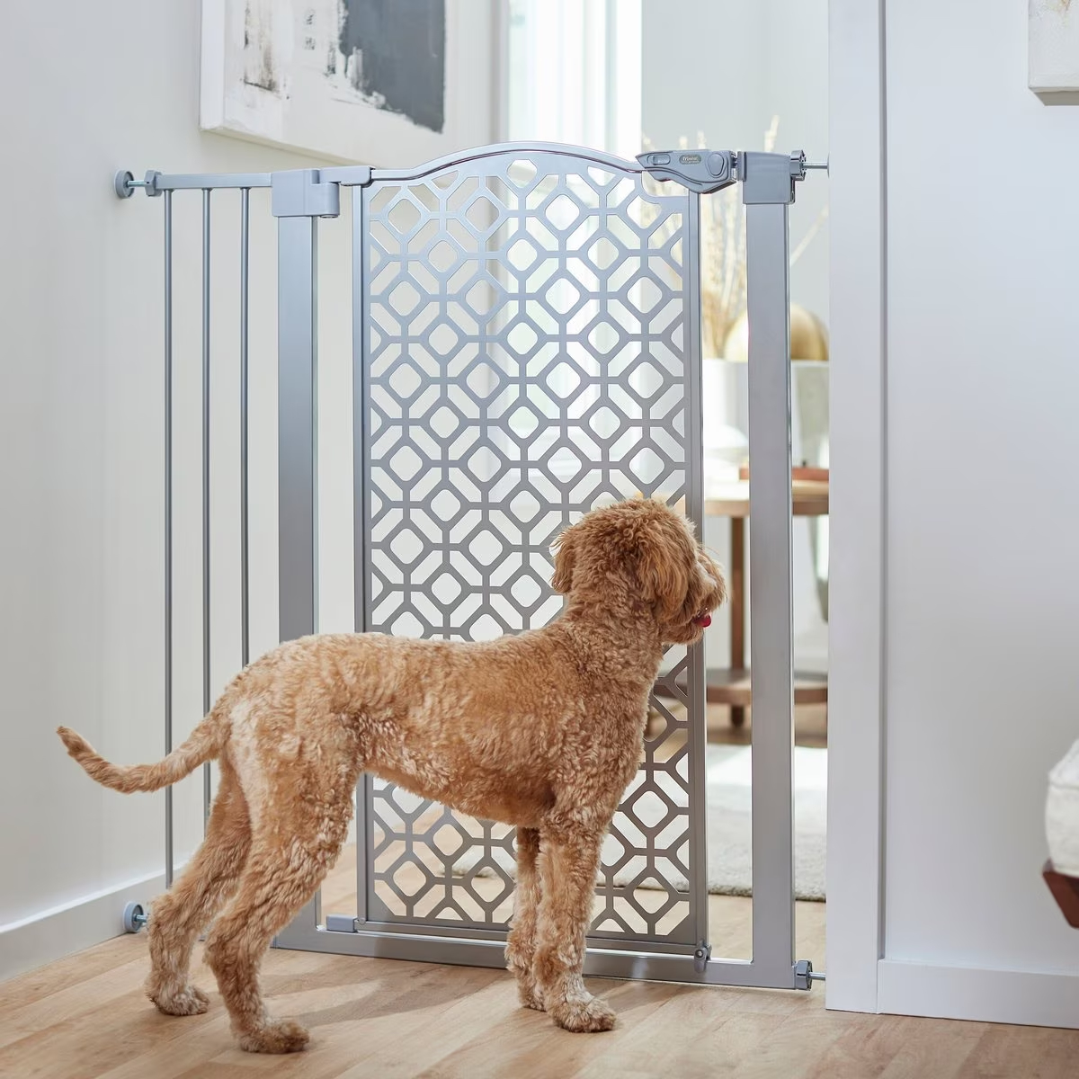 Frisco Metal Geometric Pattern Extra Tall Auto-Close Dog Gate new