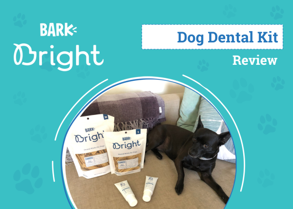 DOG_SAPR_BARK Bright Dental Kit