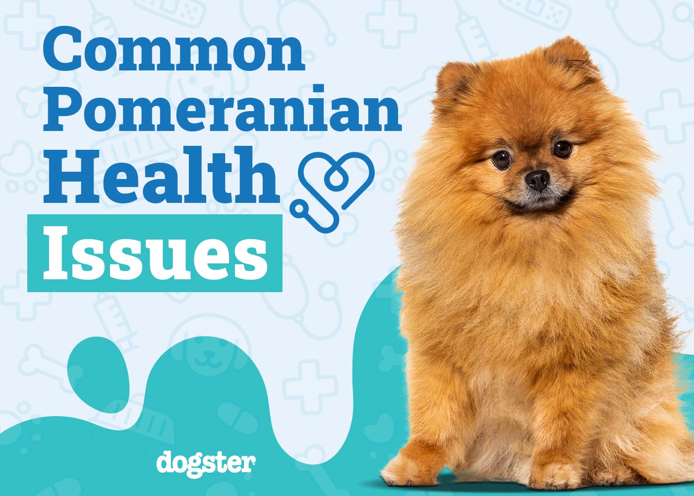 Pomeranian Health Problems