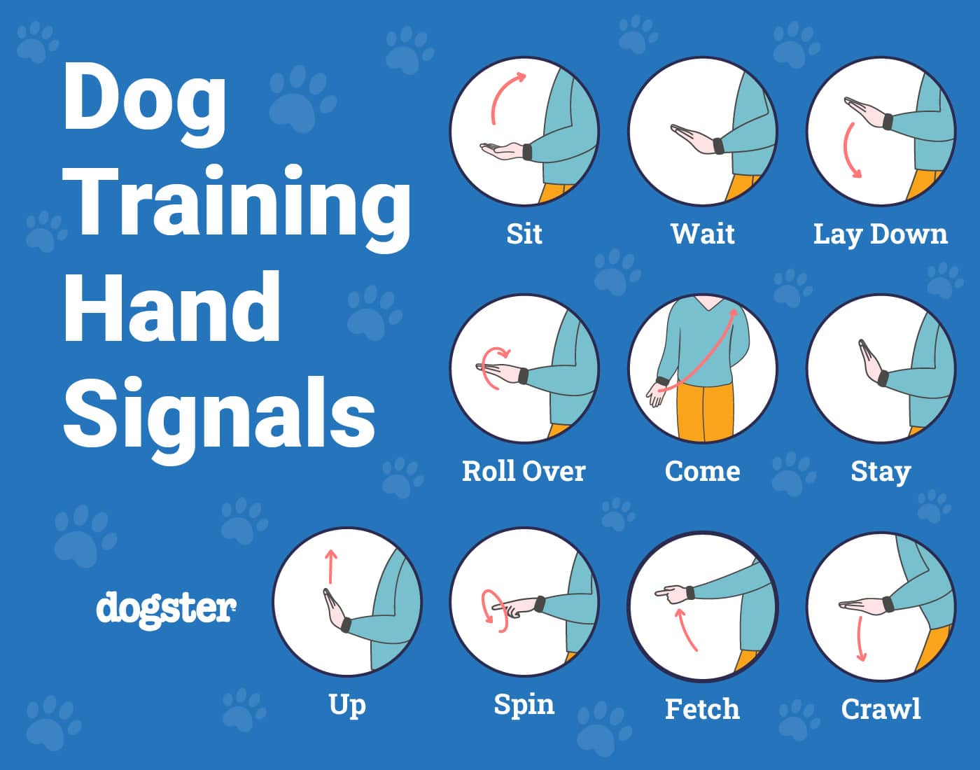 10 Basic Dog Training Hand Signals, & How to Use Them (With Infographic ...