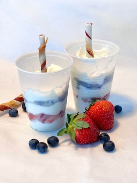DIY 4th of July Pupsicles