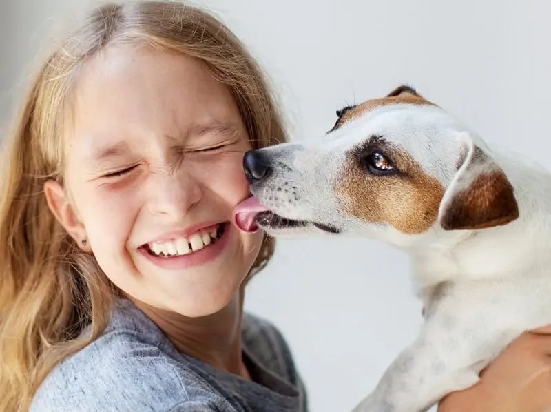 How to Get My Dog to Stop Licking Me: 7 Vet-Approved Steps – Dogster