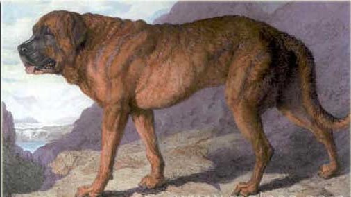 Alpine Mastiff extinct dog