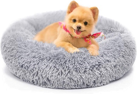 7Anxiety Dog Bed and Grey Dog Calming Blanket
