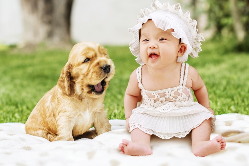 A cute puppy beside a cute baby