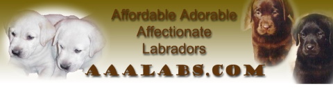 AAA labs logo