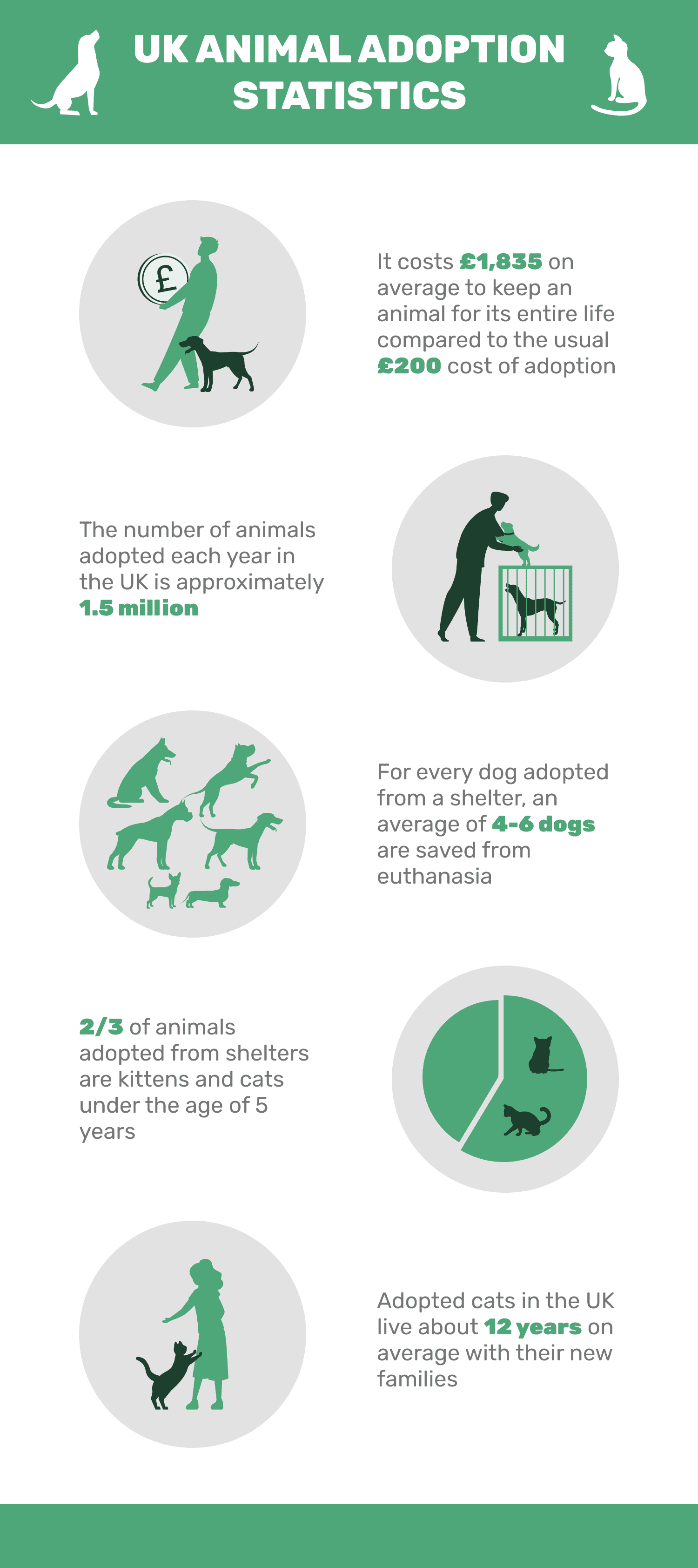 UK animal adoption statistics