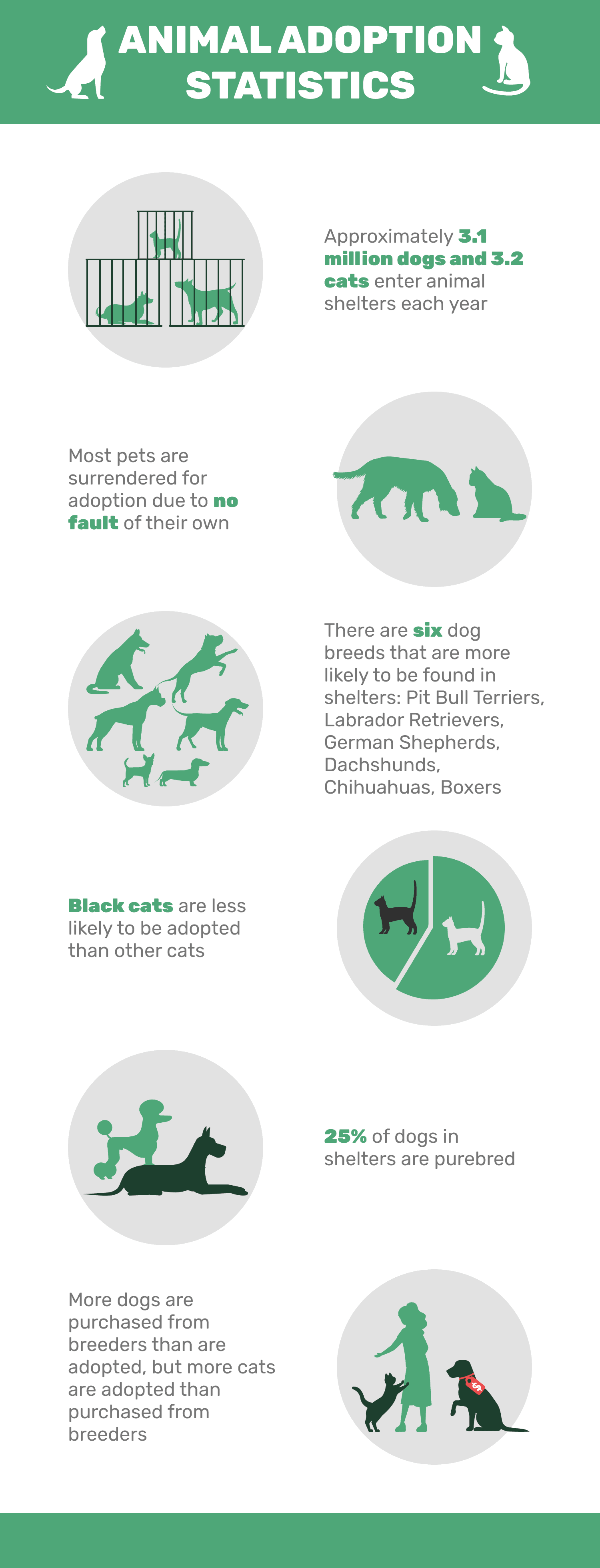 animal adoption stats