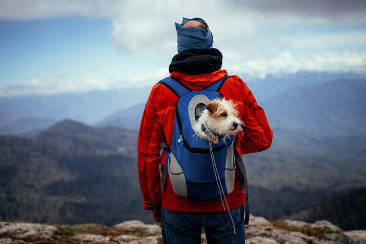 A,Man,In,A,Red,Jacket,,With,A,Dog,In_Alexandr_Polupanov_ Shutterstock