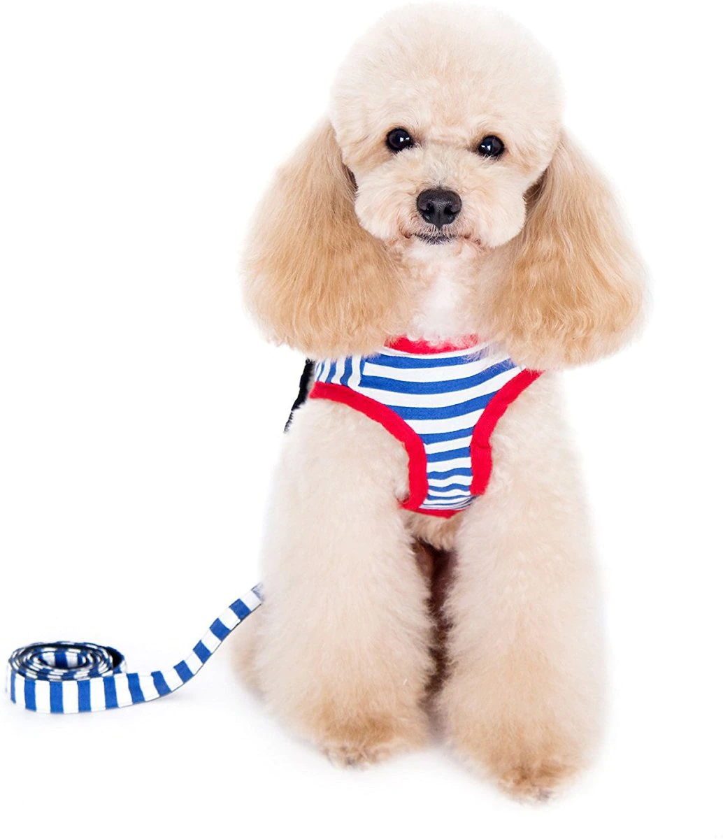 Alfie Pet Vince Sailor Polyester Back Clip Dog Harness & Leash