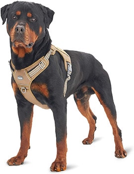 Auroth Tactical Dog