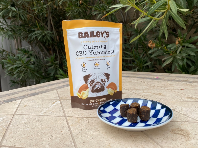 Bailey’s CBD Dog Products - calming chews on plate