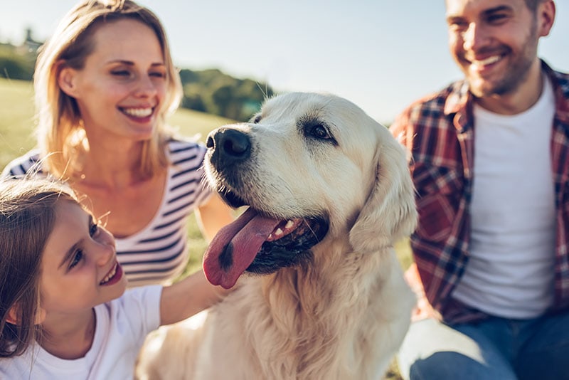 Beautiful happy family is having fun with golden retriever outdoors