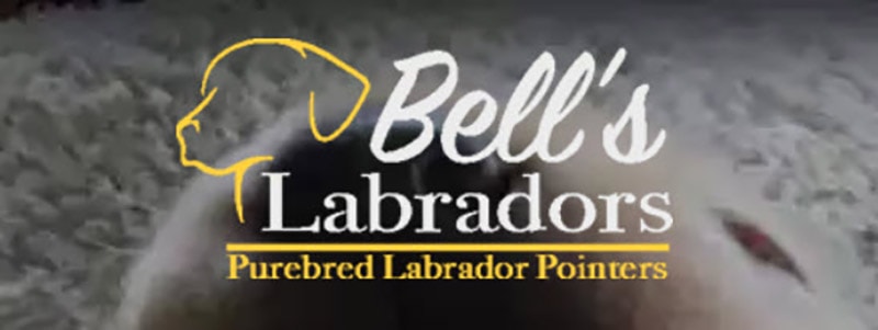 Bell’s Labradors logo