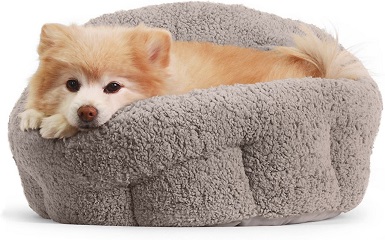 Best Friends by Sheri OrthoComfort Dog Bed