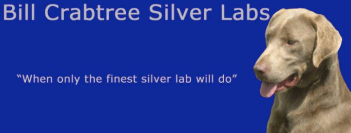 Bill Crabtree Silver Labs