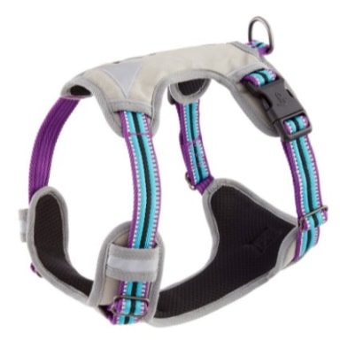 Blueberry Pet 3M Multi-Colored dog harness