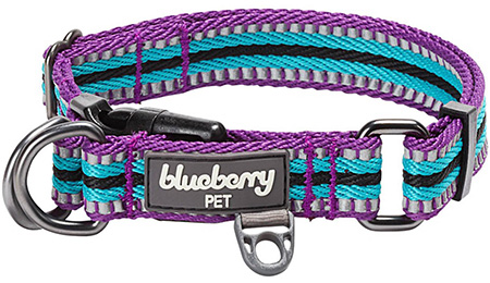 Blueberry Pet 3M Reflective Dog Collar