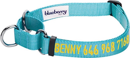Blueberry Pet Training Martingale Collar