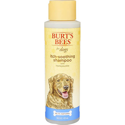 Burt's Bees Itch Soothing Shampoo with Honeysuckle for Dogs