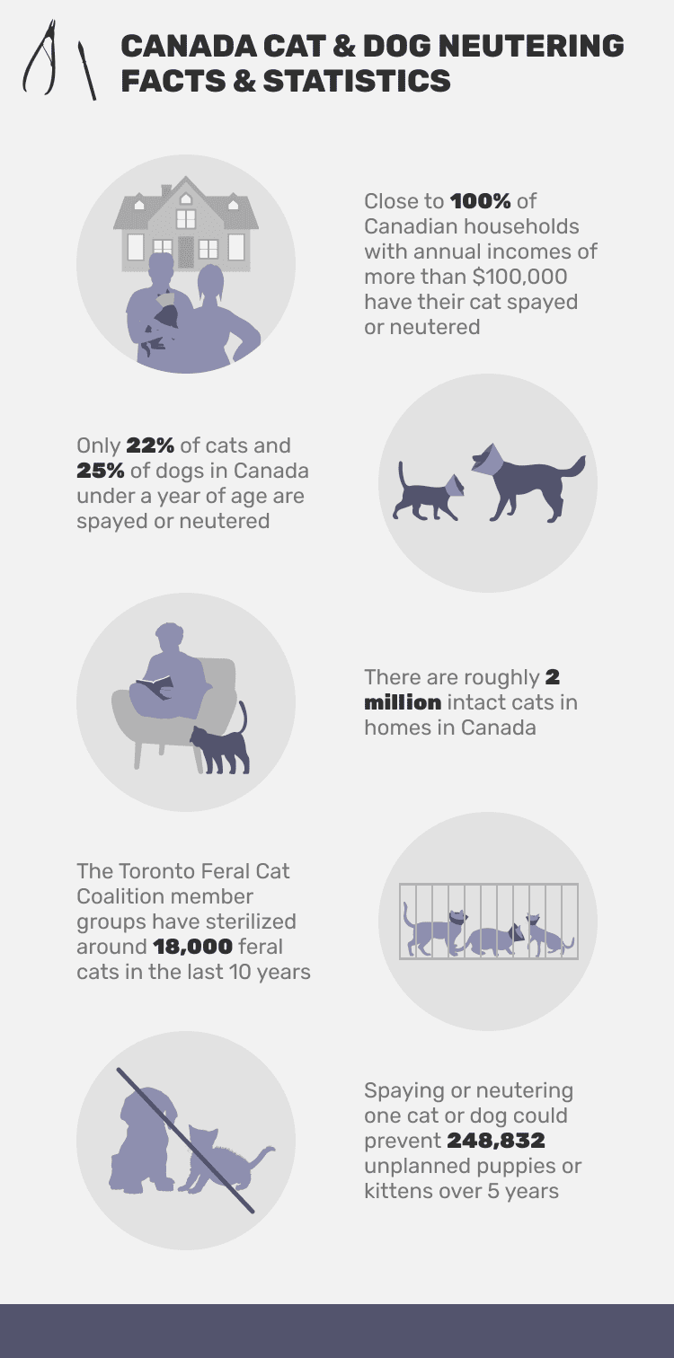 CANADA_CAT_&_DOG_NEUTERING_FACTS_&_STATISTICS