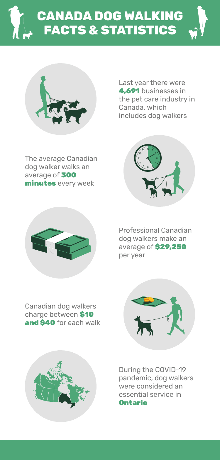 CANADA_DOG_WALKING_FACTS_&_STATISTICS