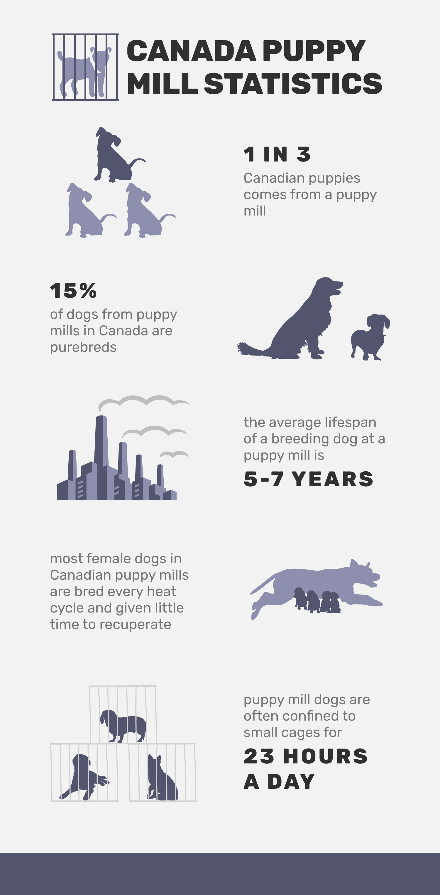 canada puppy mill statistics
