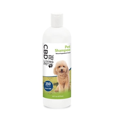 CBD Pet Shampoo