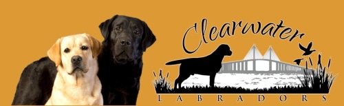 CW labradors logo