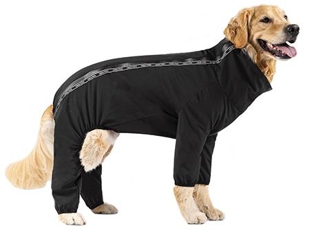 Canada Pooch Slush Dog Suit