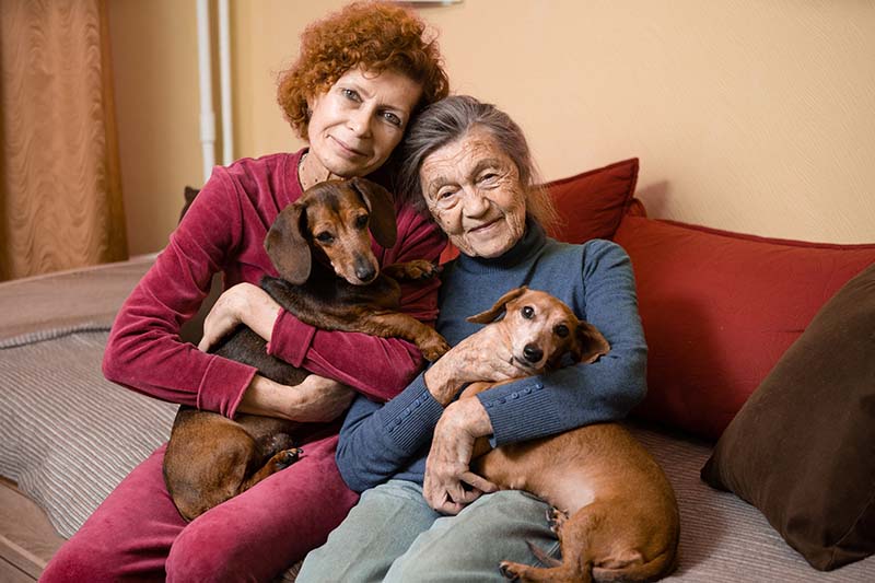 Caring for elderly with dementia and Alzheimer's disease