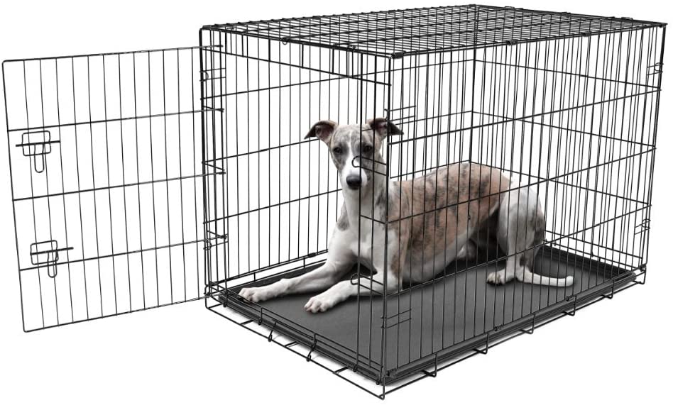 Carlson Pet Products Metal Dog Crate