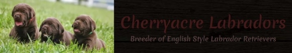 Cherryacre labradors logo