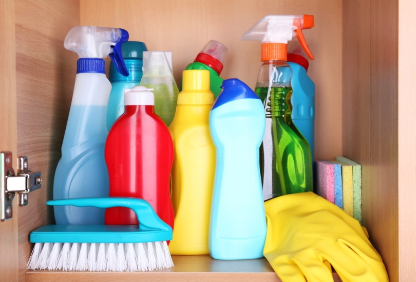 Cleaning supplies stored in shelf