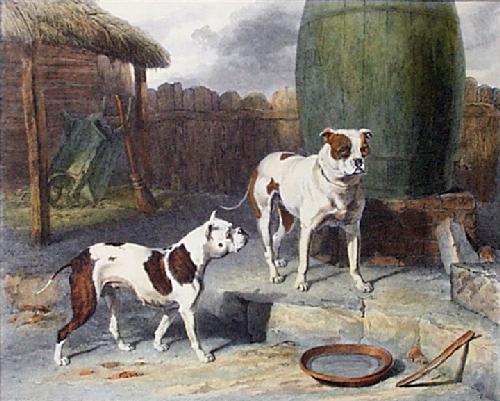 Crib-and-Rosa-dog-painting-by-Samuel-Raven-of-extinct-Old-English-Bulldog-breed