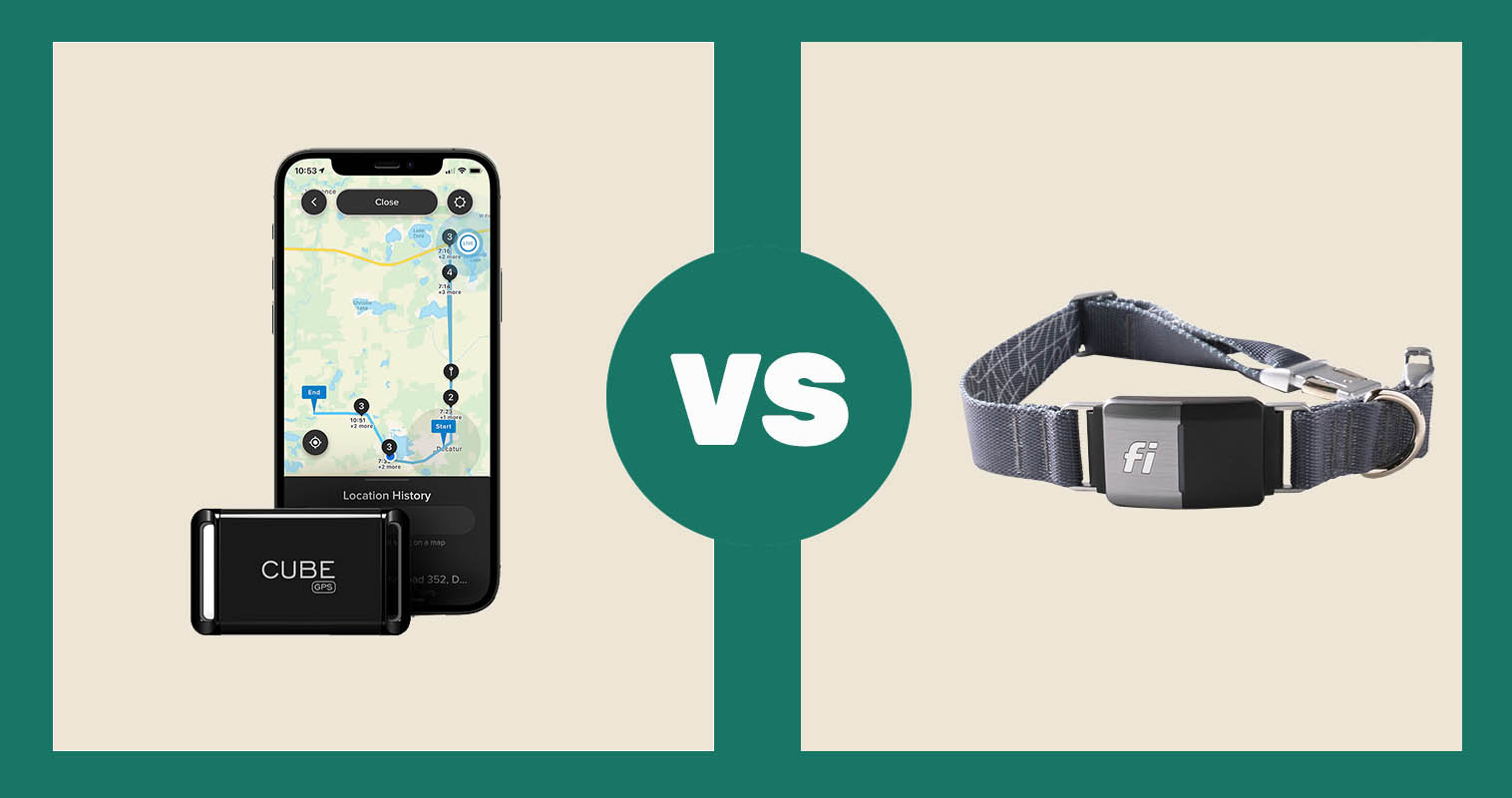 Cube Real Time GPS Dog & Cat Tracker vs Fi Dog Collar